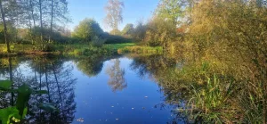 Mehr über den Artikel erfahren Aktivitäten in der Umgebung von Ferienwohnung Landlicht in Sulingen