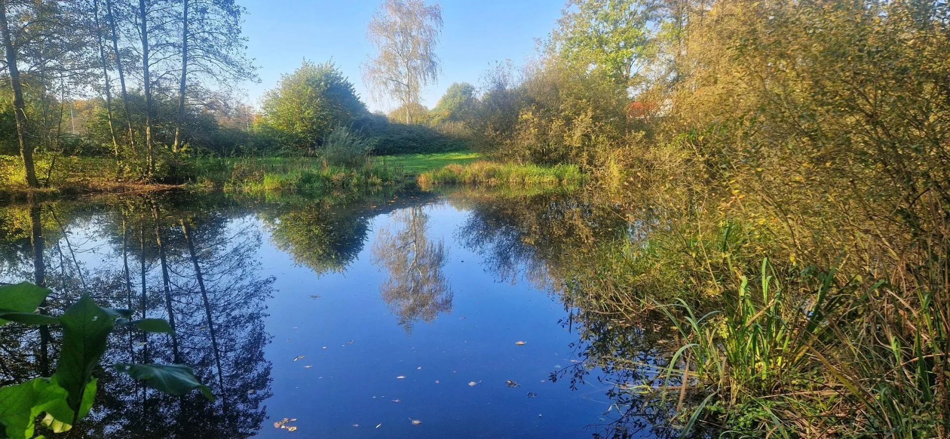 Mehr über den Artikel erfahren Aktivitäten in der Umgebung von Ferienwohnung Landlicht in Sulingen