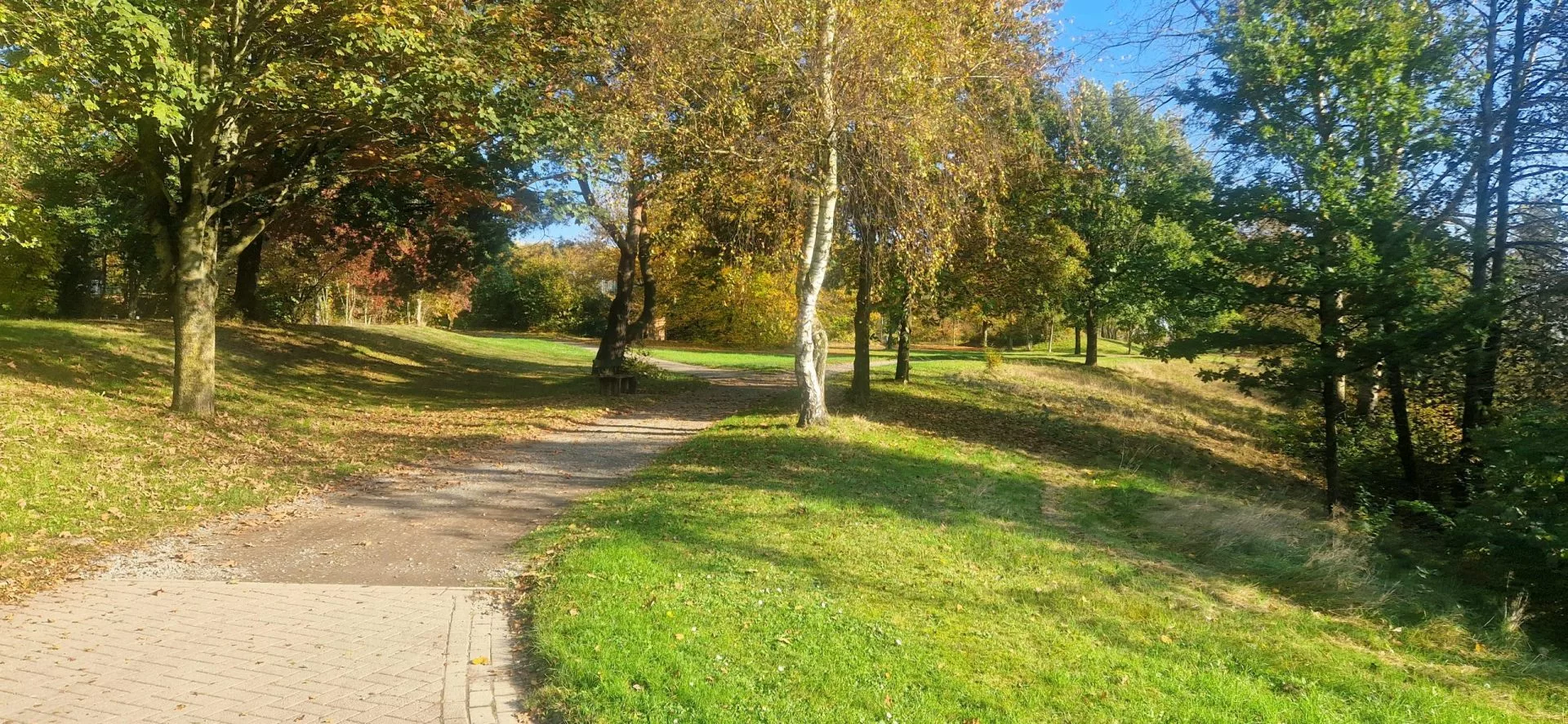 Mehr über den Artikel erfahren Ferienwohnung in Sulingen – Der ideale Ausgangspunkt für Ihre Radtour